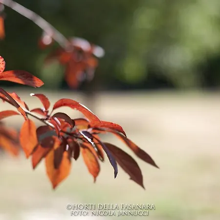 Horti Della Fasanara Ferrara