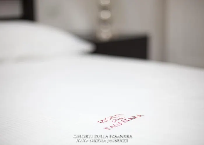 乡村民宿 德拉法萨纳拉酒店 *