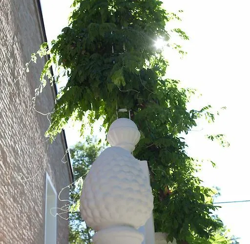 德拉法萨纳拉酒店 *