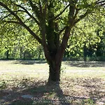 Horti Della Fasanara カントリーハウス