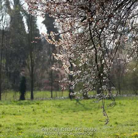 Casa rural Horti Della Fasanara