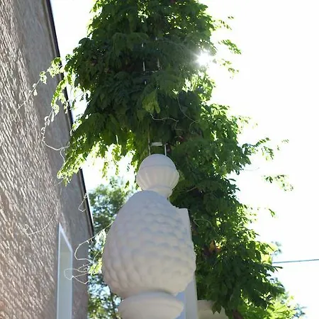 德拉法萨纳拉酒店 *