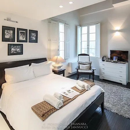 德拉法萨纳拉酒店 乡村民宿 *