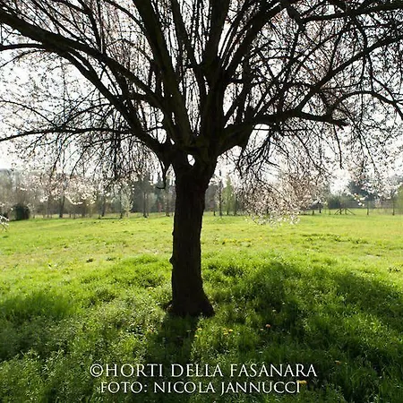 Casa rural Horti Della Fasanara *
