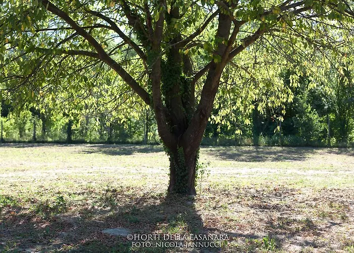 Horti Della Fasanara Kır Evi