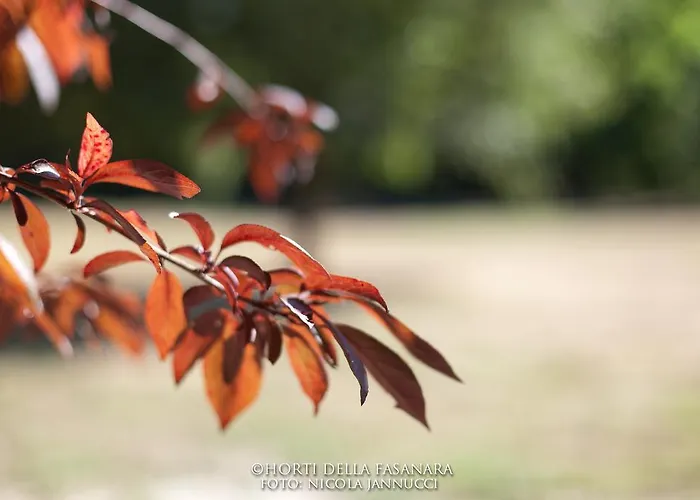 Horti Della Fasanara Ferrare